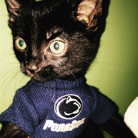 PSU CAT .